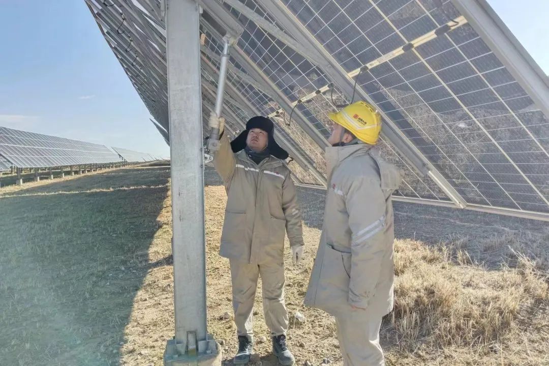 1703147432861067805.jpeg W020231220474594945043.jpeg