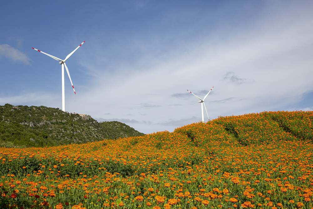 1703559612647037633.jpg 微信圖片_202312230912391a.jpg