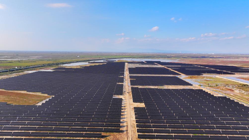 1731291435824034188.jpg 1.jpg