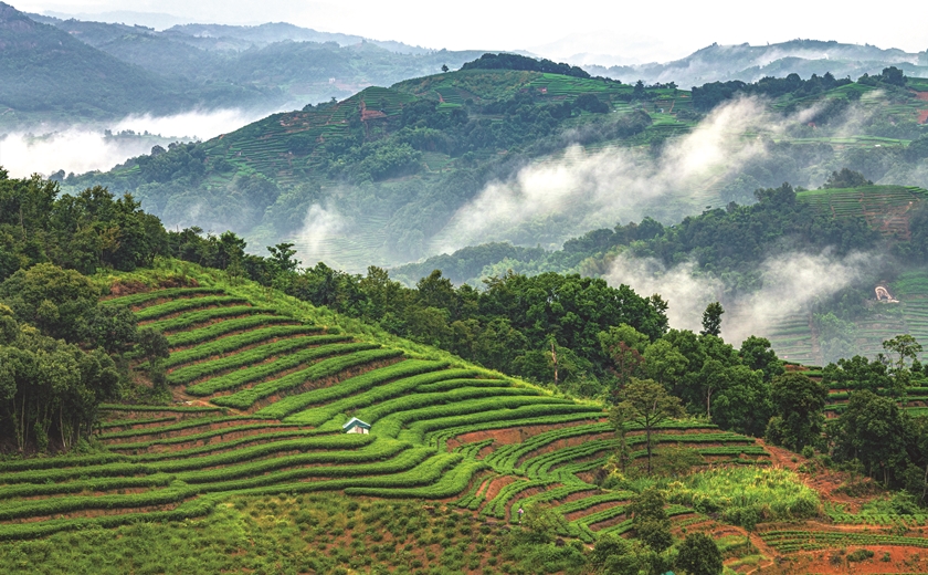 1627293939512039561.jpg 4.jpg