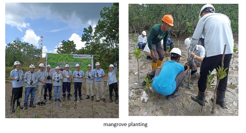 1724140576486031646.jpg 444.jpg